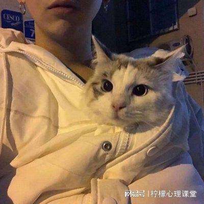 天异世界游戏